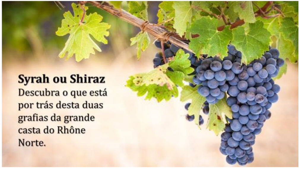 16 de fevereiro International Syrah Day Dois Estilos Para Um Mesmo Vinho”
